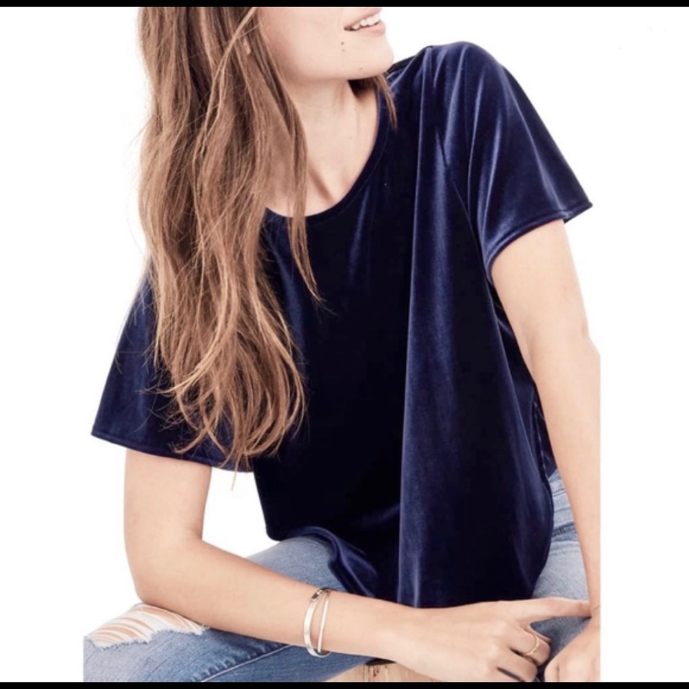 Blue velvet butterfly Madewell top